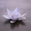 Thumbnail of related posts 135