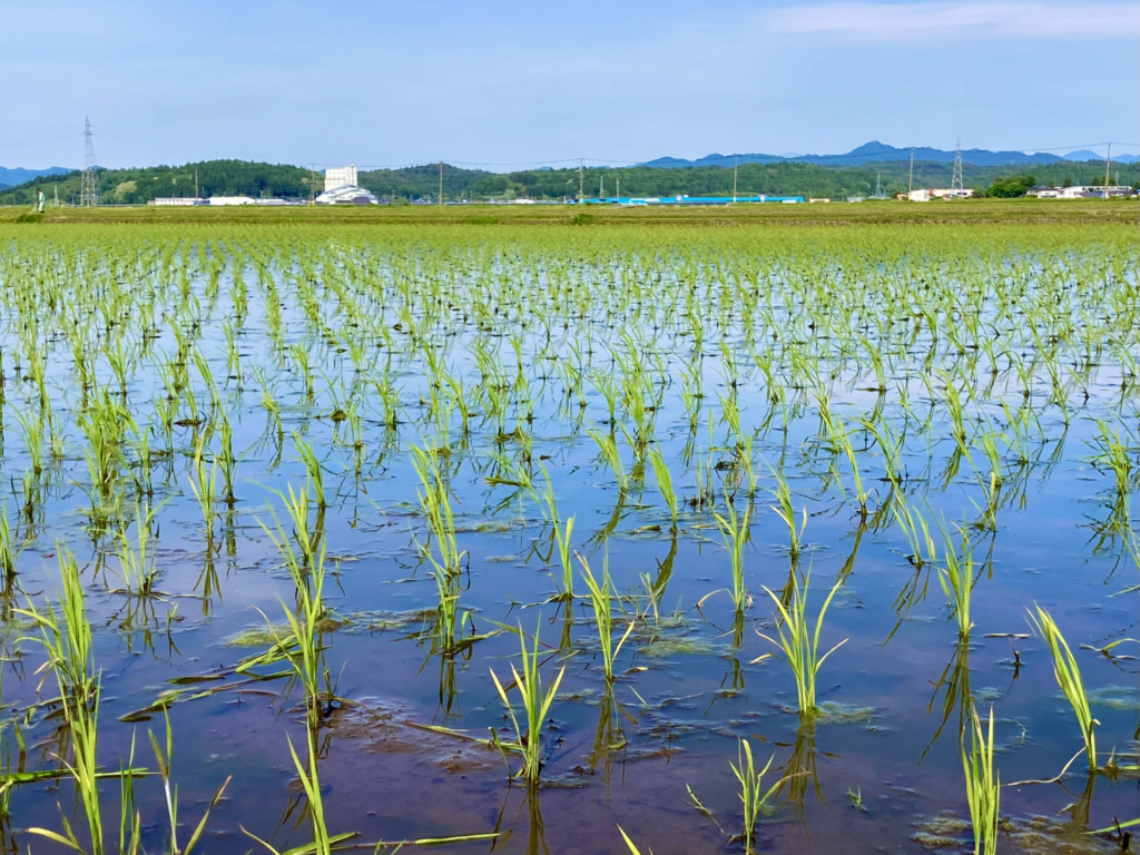 相続した農地